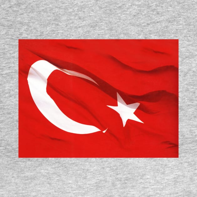 turkey flag by Drmb